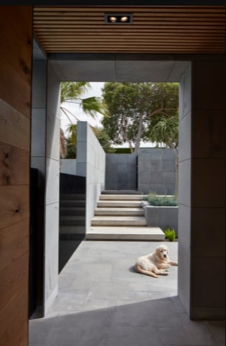 Bluestone tiles with a white dog in the background.